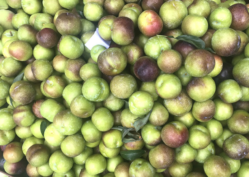 {title} Việt Nam hết mùa, 4 loại mận Tàu đang áp đảo toàn chợ