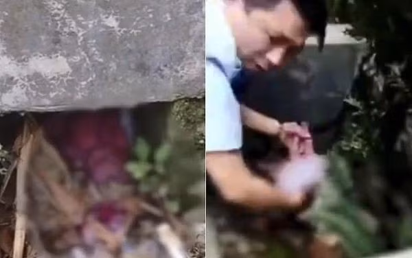 Bé sơ sinh được tìm thấy ở một mương rác.