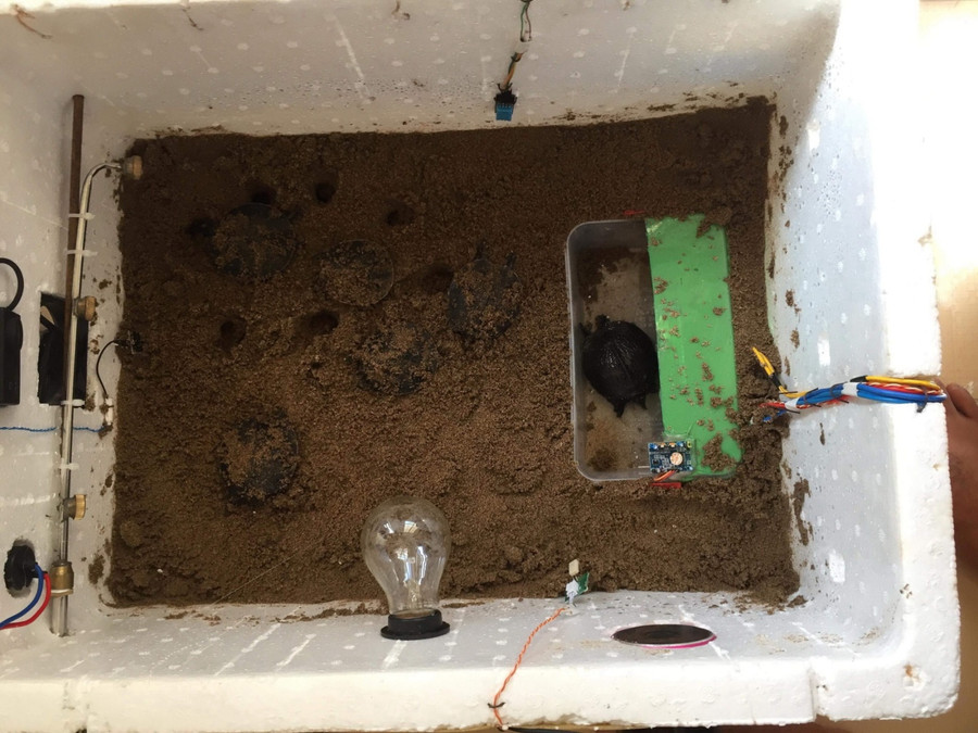 “Máy ấp trứng cua đinh thông minh” của học sinh giúp trang trại kiểm soát quy trình ấp trứng và cho tỉ lệ trứng nở cao. (Ảnh NVCC) “Máy ấp trứng cua đinh thông minh” của học sinh giúp trang trại kiểm soát quy trình ấp trứng và cho tỉ lệ trứng nở cao. (Ảnh NVCC)