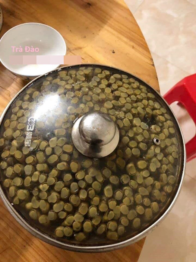 Hoảng hốt với chiếc nồi đựng đầy sinh vật lạ, mở vung ra ai cũng ngất vì đó chính là món khoái khẩu của hội chị em - Ảnh 1. Hoảng hốt với chiếc nồi đựng đầy sinh vật lạ, mở vung ra ai cũng ngất vì đó chính là món khoái khẩu của hội chị em - Ảnh 1.