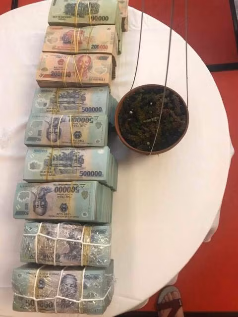 Thương vụ 1 đốt lan giá 3,5 tỷ đồng: Ai mua?