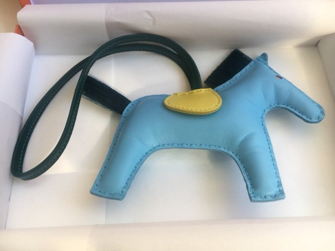 Nữ tín đồ hàng hiệu bị chỉ trích "xấp mặt" vì mua phụ kiện Hermes bé xíu giá cắt cổ ảnh 3