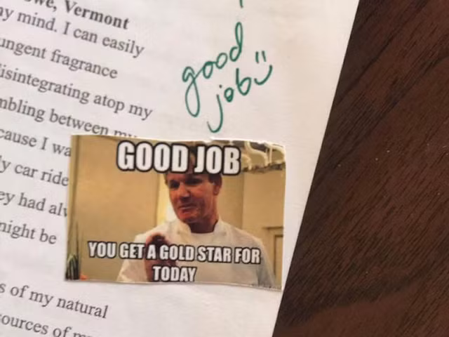 Một trong những ảnh chế được cô giáo Ainee Fatima dùng để chấm bài.