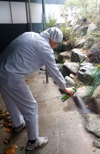 Hình ảnh cuối cùng vềChae trong điện thoại của vợ. Ảnh: CNN.