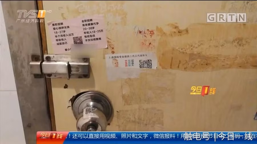 Sự thật đáng sợ phía sau dịch vụ mua bán trứng của các cô gái trẻ-1