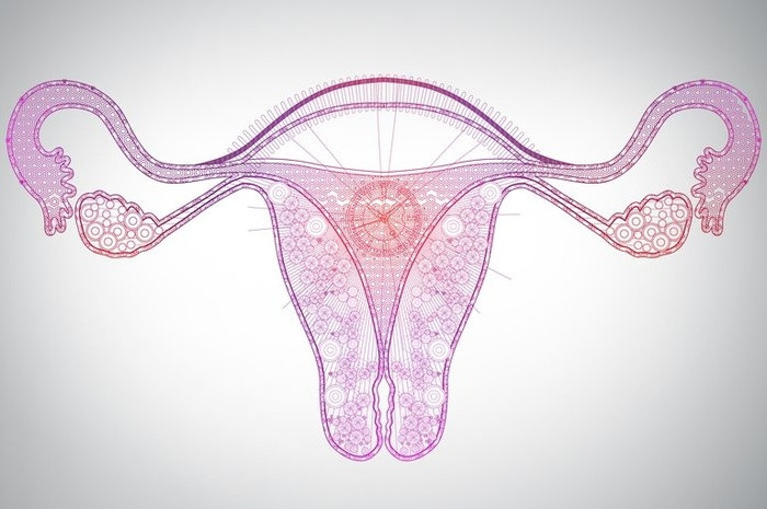 Điều sẽ xảy ra khi cắt bỏ buồng trứng? ảnh 3 “Tất tần tật” những điều chị em cần biết khi loại bỏ buồng trứng