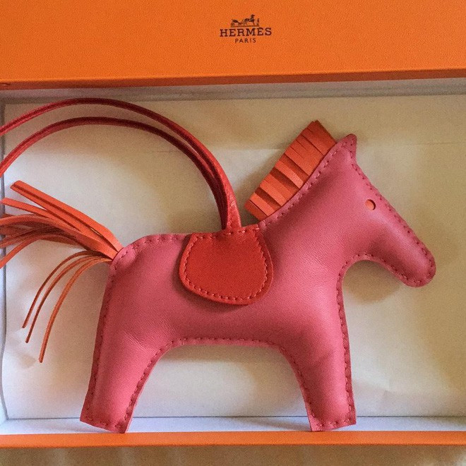 Nữ tín đồ hàng hiệu bị chỉ trích "xấp mặt" vì mua phụ kiện Hermes bé xíu giá cắt cổ ảnh 10