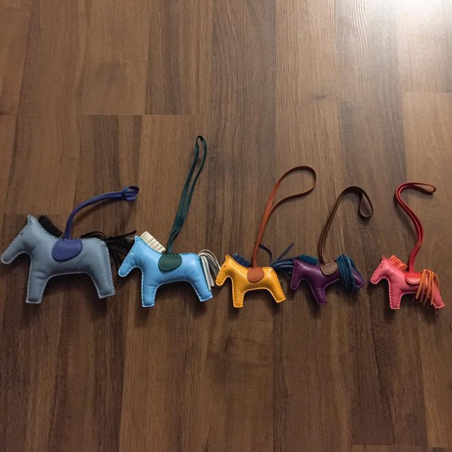 Nữ tín đồ hàng hiệu bị chỉ trích "xấp mặt" vì mua phụ kiện Hermes bé xíu giá cắt cổ ảnh 12