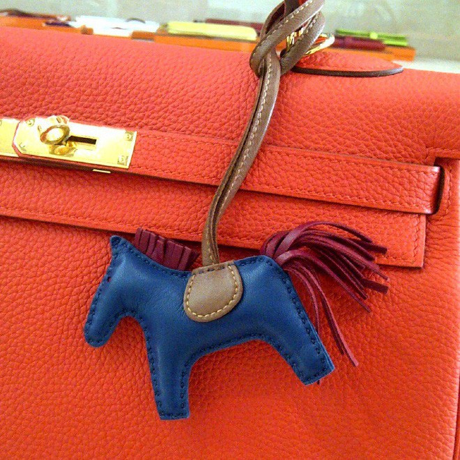 Nữ tín đồ hàng hiệu bị chỉ trích "xấp mặt" vì mua phụ kiện Hermes bé xíu giá cắt cổ ảnh 11