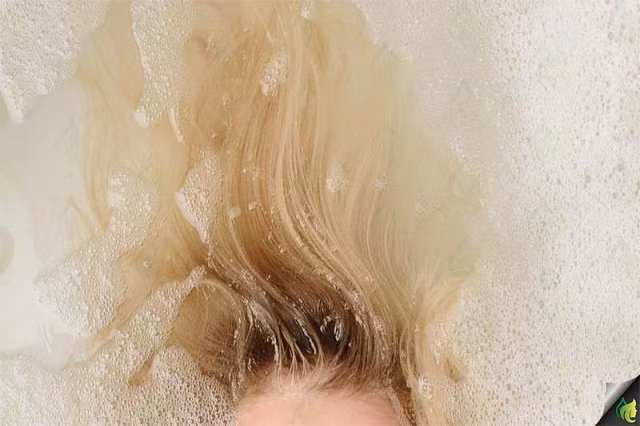 5 mẹo đơn giản giúp chị em kiểm tra độ chắc khỏe của mái tóc - Hình 1