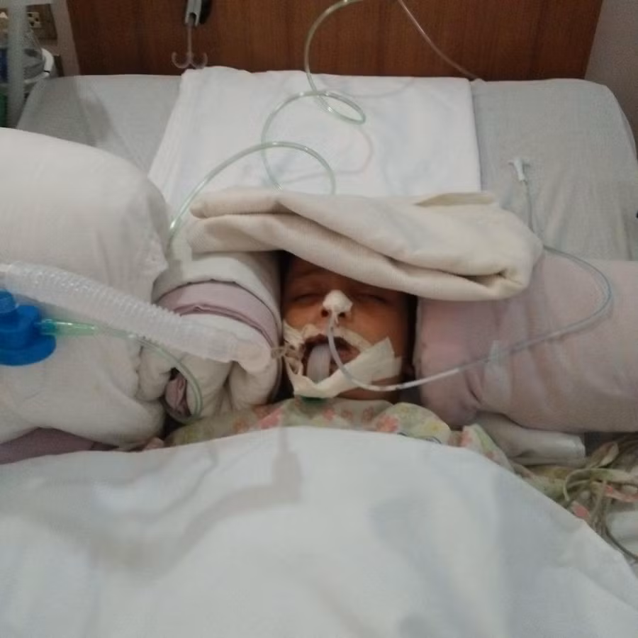 luoi-danh-rang-cho-con-1