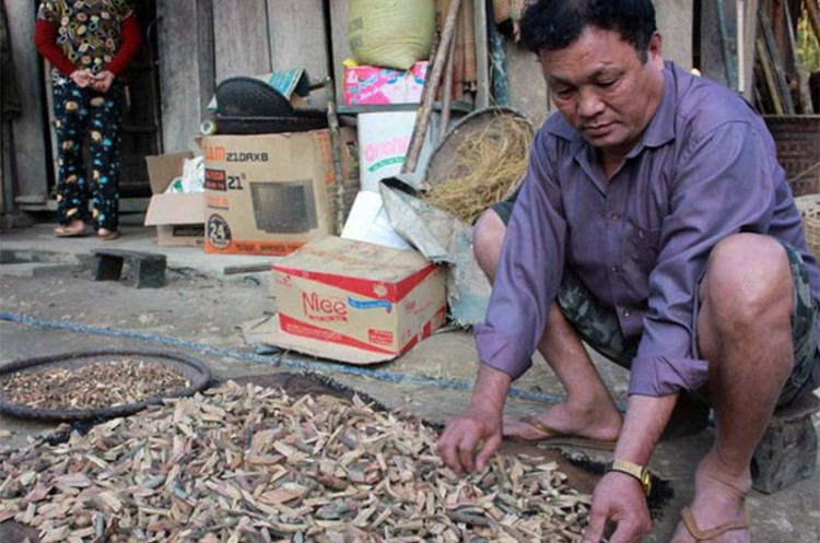 Choáng với người đàn ông "đào hoa" nhất Việt Nam: 37 người vợ, đàn con cháu không nhớ hết mặt ảnh 5 Mỗi lần đi lấy thuốc, ông Tiến lại cưới thêm vợ