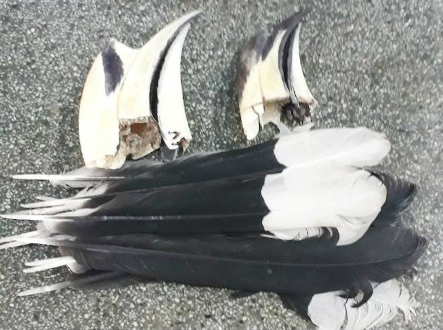 Thông tin bất ngờ vụ giám đốc "tự sướng" khoe ảnh thịt chim quý ảnh 2 Thông tin bất ngờ vụ giám đốc