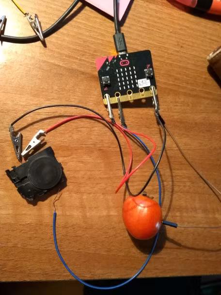 Sử dụng Mico bit kiểm tra sự dẫn điện của cà chua