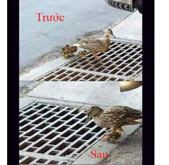 Cuộc sống thành thị Cuộc sống thành thị