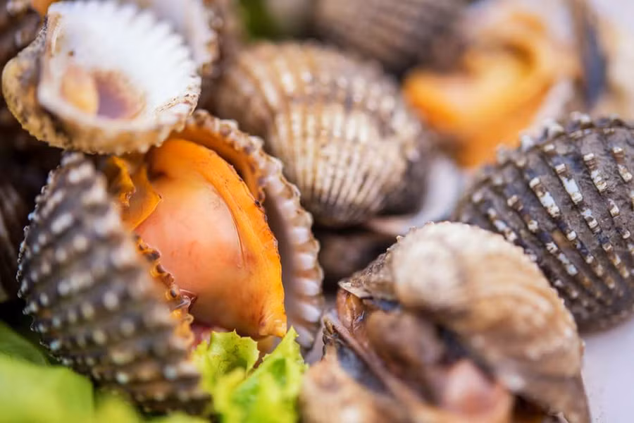 6. Sò huyết: Sò huyết sống trong môi trường thiếu oxy và lọc đến 40 lít nước biển mỗi ngày, làm chúng hấp thu các vi khuẩn có hại như viêm gan, thương hàn, kiết lị. Nấu hoặc nướng qua sò huyết có thể để lại các vi khuẩn này. Hiện sò huyết vẫn bị cấm ở Thượng Hải sau khi chúng gây ra một ổ dịch viêm gan A năm 1988. 14 loai thuc pham nguy hiem neu ban khong so che dung cach hinh anh 6