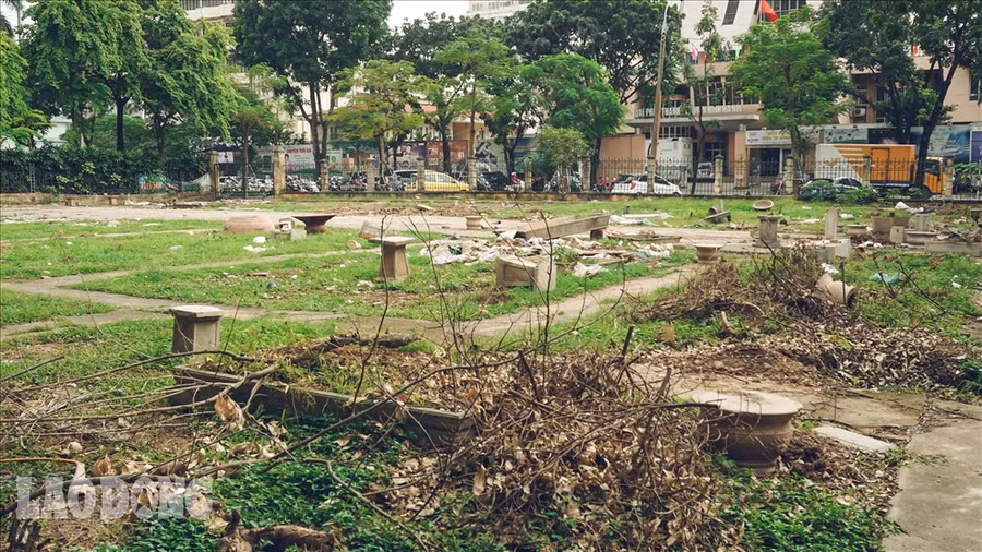 Cây khô lăn lóc khắp nơi.