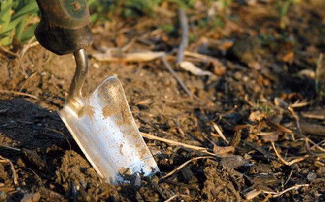 Đào vườn nhà được 28 thỏi vàng, bán lấy 21 tỷ đồng ăn tiêu Đào vườn nhà được 28 thỏi vàng, bán lấy 21 tỷ đồng ăn tiêu