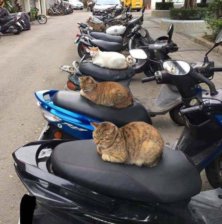 Nhân viên trông xe mới tuyển Nhân viên trông xe mới tuyển