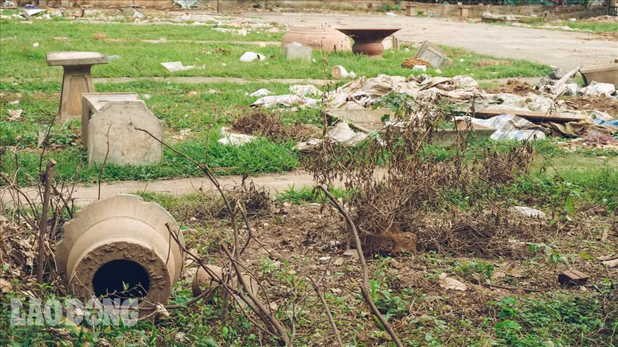 Bệ đựng vài chậu cây cảnh được bỏ lại.