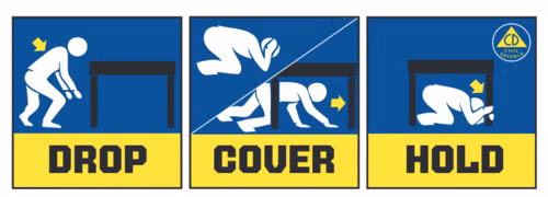 Lam gi de song sot trong mot tran dong dat? hinh anh 3