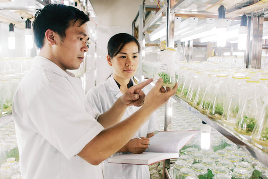 Nghiên cứu khoa học tại Đại học Thái Nguyên