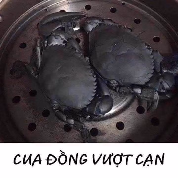 Chết cười cách đặt tên món ăn của những "cao nhân" nội trợ ảnh 7