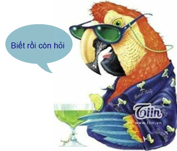 Biết rồi còn hỏi