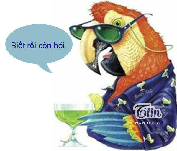 Biết rồi còn hỏi