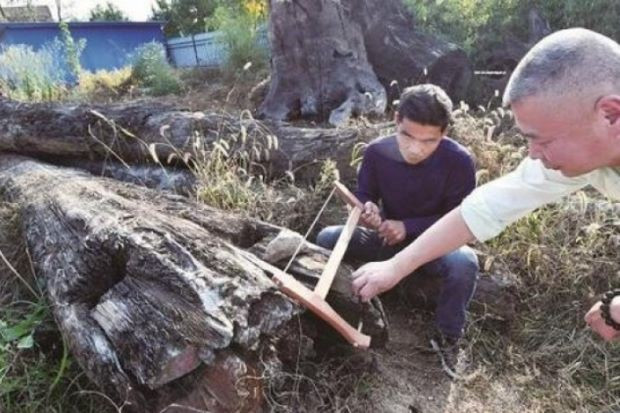 Nhặt được khúc gỗ xấu xí về vứt xó 5 năm, người đàn ông không ngờ đó là gia tài 70 tỷ đồng - Ảnh 1. Nhặt được khúc gỗ xấu xí về vứt xó 5 năm, người đàn ông không ngờ đó là gia tài 70 tỷ đồng - Ảnh 1.