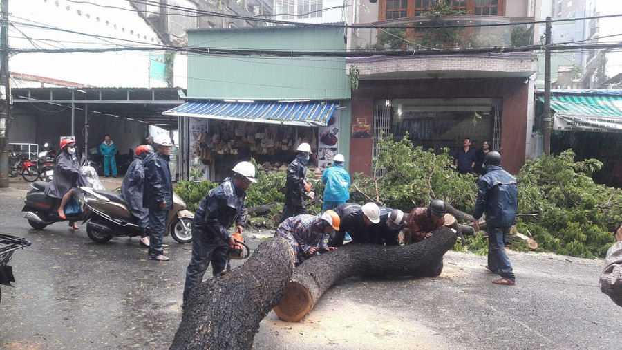 Nhiều cây xanh lớn bị gảy đỗ đã được di dời, đảm bảo giao thông thông suốt.