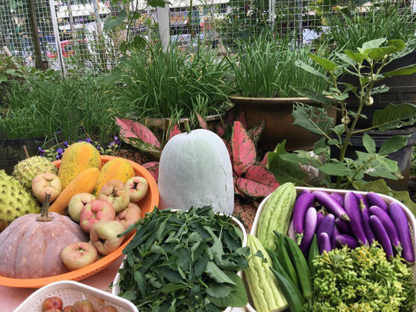 "Thợ làm vườn" hiến kế diệt sâu bệnh cho rau sạch bằng tỏi và vỏ trứng