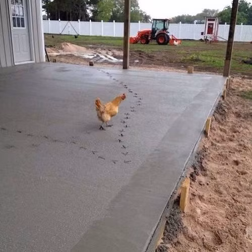 Con đường in dấu chân em.