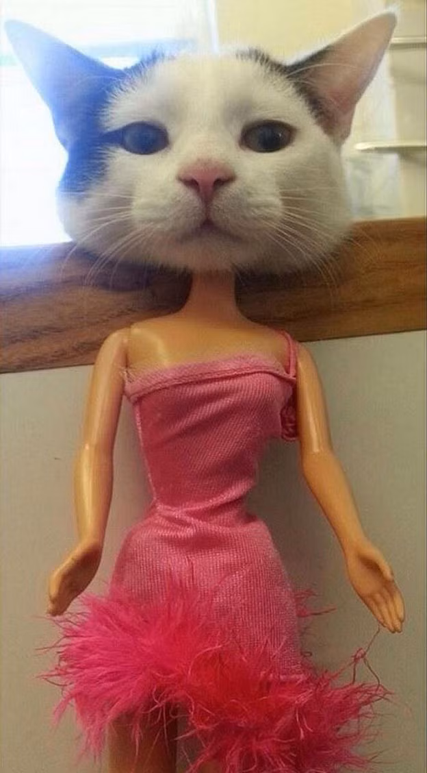 Coi chừng nhìn nhầm (7): Baby, ahihi - Hình 6