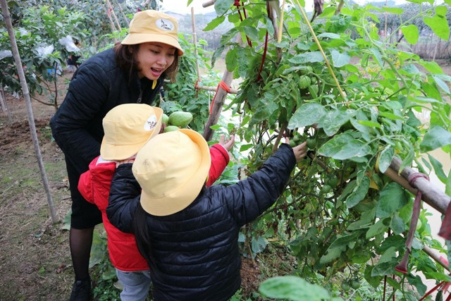 Trẻ em cần được quan tâm, phát triển toàn diện với chương trình được chắt lọc kỹ lưỡng Trẻ em cần được quan tâm, phát triển toàn diện với chương trình được chắt lọc kỹ lưỡng
