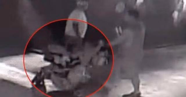 Cá mập được giấu trong xe đẩy trẻ em