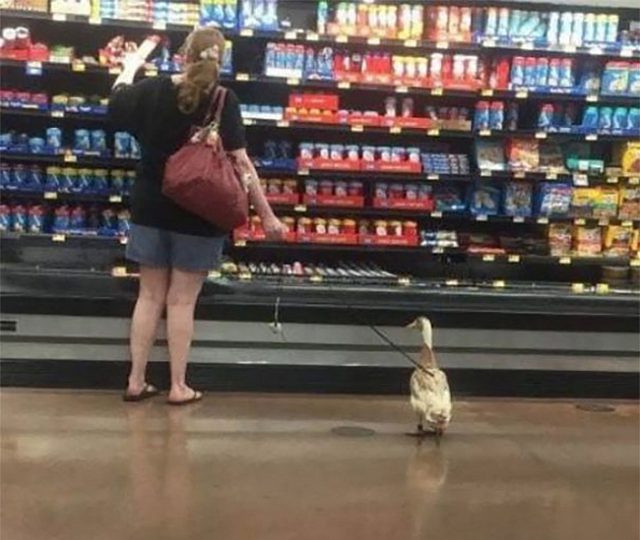 Sốc khi bắt gặp những hình ảnh lạ kỳ trong siêu thị ảnh 8 Sốc khi bắt gặp những hình ảnh lạ kỳ trong siêu thị - Hình 8