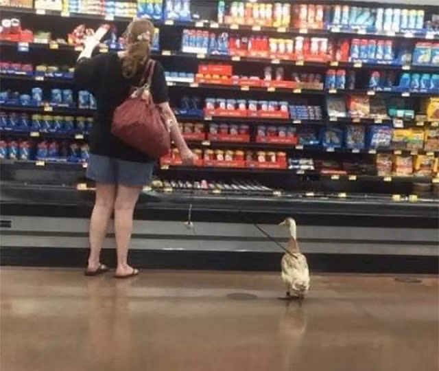 Sốc khi bắt gặp những hình ảnh lạ kỳ trong siêu thị - Hình 8