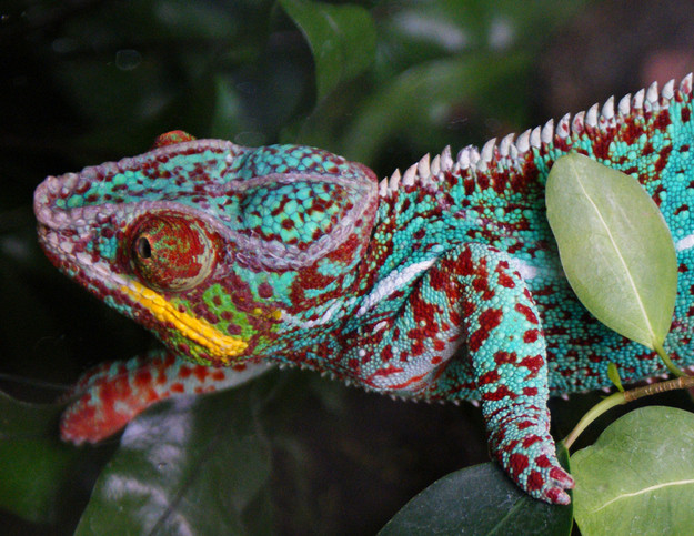 Những sự thật sai bét bấy lâu nay chúng ta vẫn tin sái cổ ảnh 2