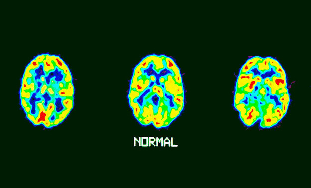 Những sự thật sai bét bấy lâu nay chúng ta vẫn tin sái cổ ảnh 8