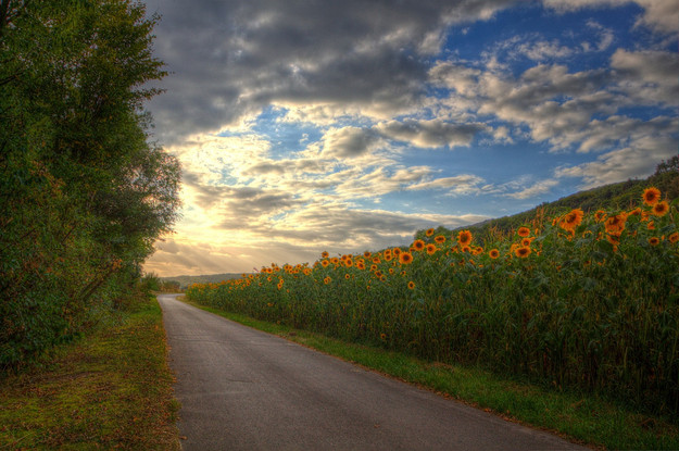 Những sự thật sai bét bấy lâu nay chúng ta vẫn tin sái cổ ảnh 11