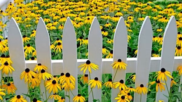 Điểm danh con giáp tài lộc dồi dào ngày cuối tuần