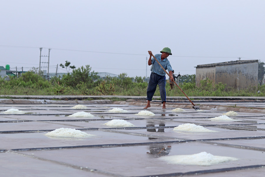 Theo các diêm dân, nghề làm muối ở Hòa Lộc đã có cách đây khoảng 50 năm. Nơi đây, từng là vựa muối lớn ở Thanh Hóa, nhộn nhịp kẻ bán người mua. Ảnh: LT. Theo các diêm dân, nghề làm muối ở Hòa Lộc đã có cách đây khoảng 50 năm. Nơi đây, từng là vựa muối lớn ở Thanh Hóa, nhộn nhịp kẻ bán người mua. Ảnh: LT.