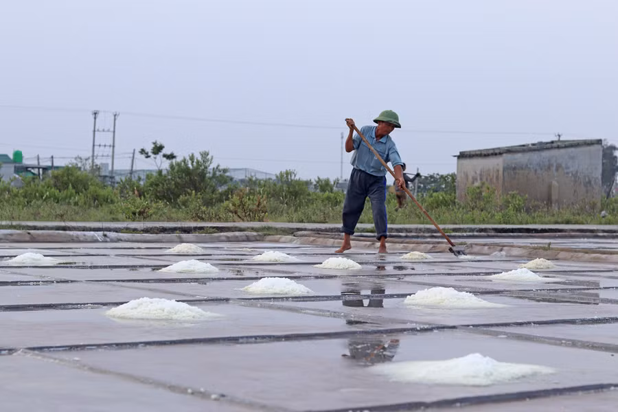 Theo các diêm dân, nghề làm muối ở Hòa Lộc đã có cách đây khoảng 50 năm. Nơi đây, từng là vựa muối lớn ở Thanh Hóa, nhộn nhịp kẻ bán người mua. Ảnh: LT.