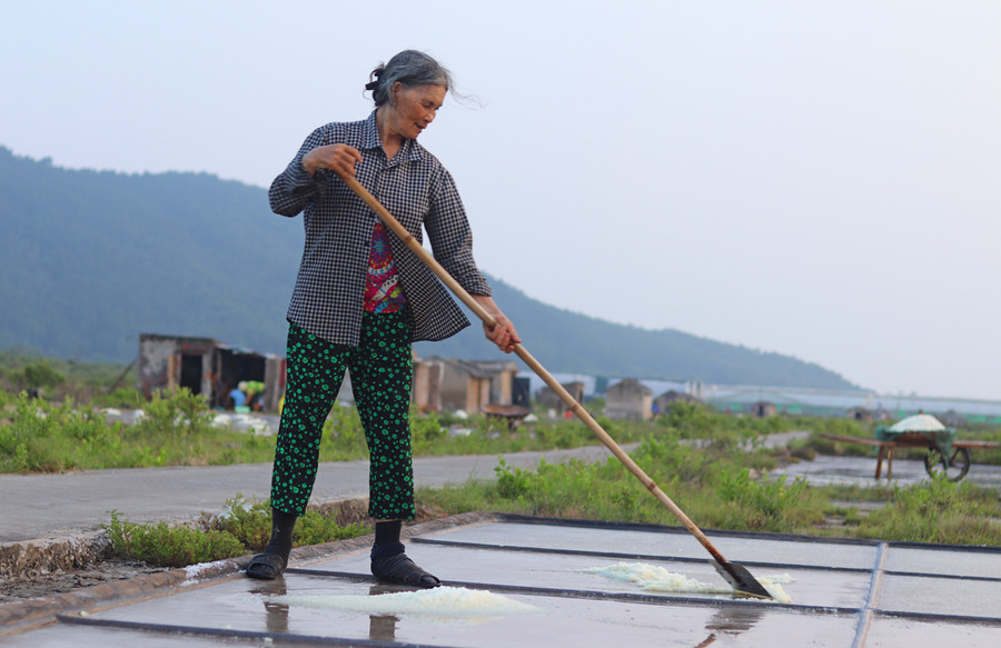 Bà Phạm Thị Loan (71 tuổi) hồ hởi cho biết, nghề làm muối đã gắn bó với bà hàng chục năm qua. Năm nay, gia đình bà Loan làm khoảng 10 sào muối. Mặc dù, khó nhọc song bà Loan vẫn tranh thủ ra đồng lúc nắng nóng để thu hoạch muối. Ảnh: LT. Bà Phạm Thị Loan (71 tuổi) hồ hởi cho biết, nghề làm muối đã gắn bó với bà hàng chục năm qua. Năm nay, gia đình bà Loan làm khoảng 10 sào muối. Mặc dù, khó nhọc song bà Loan vẫn tranh thủ ra đồng lúc nắng nóng để thu hoạch muối. Ảnh: LT.