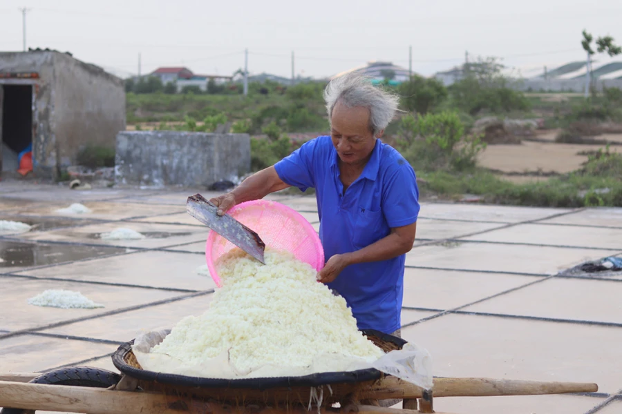 Nghề làm muối ở xã Hòa Lộc, huyện Hậu Lộc (Thanh Hóa). Ảnh: LT.