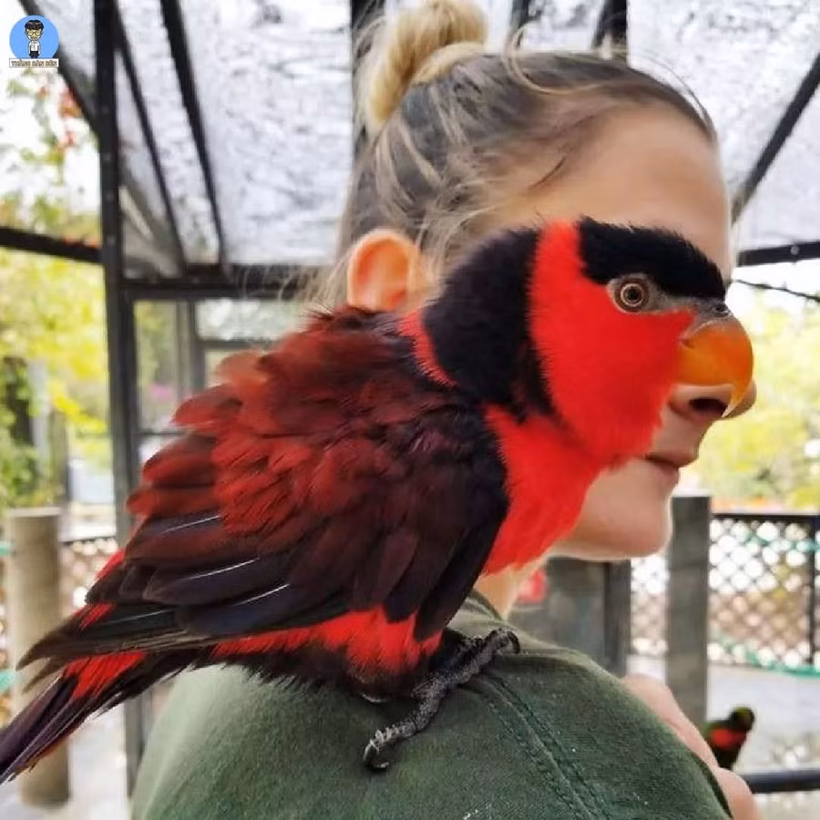 Cứ ngỡ đang diễn ra lễ Halloween.