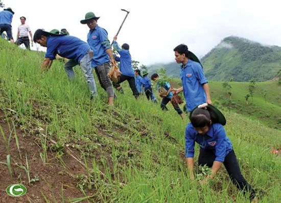 Đảm bảo an toàn tuyệt đối cho sinh viên tình nguyện