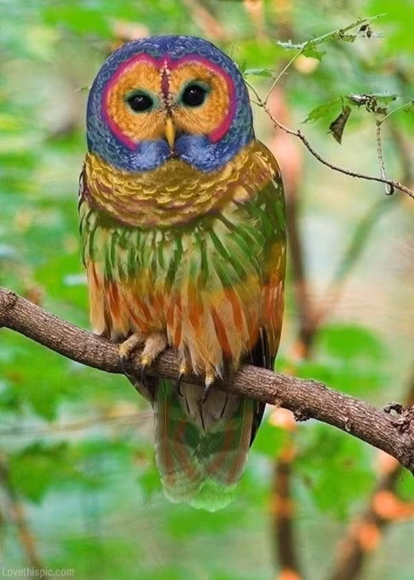 anh-photoshop-ma-nhieu-nguoi-van-tin