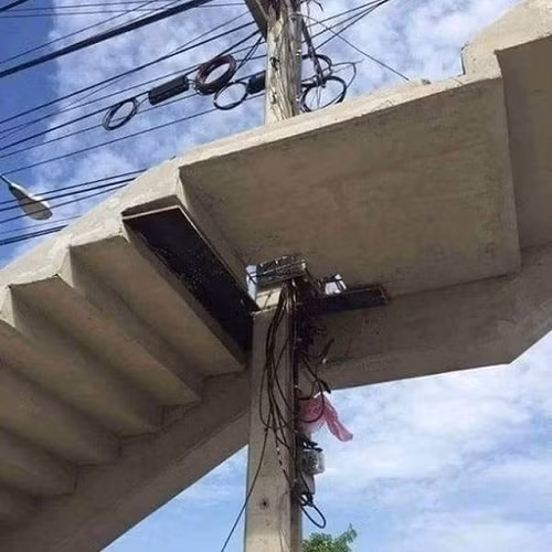 Vươn lên tầm cao, không gì ngăn lối.